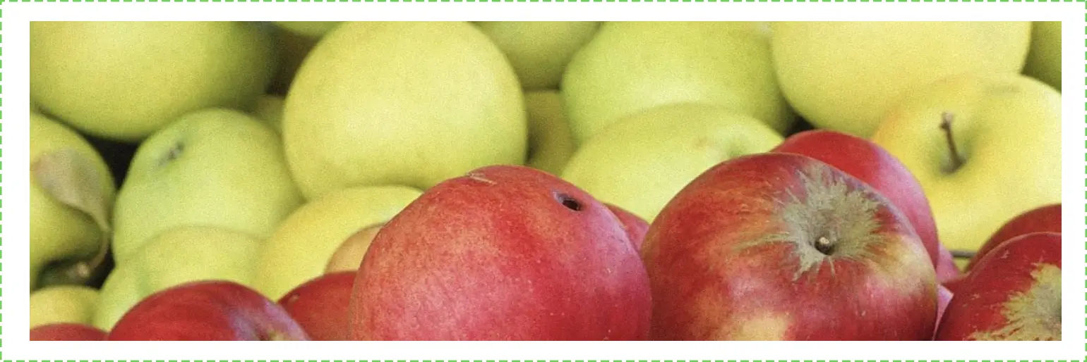 Full-Width Image PDP